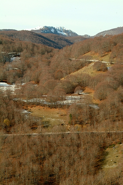 Alla scoperta di panorami familiari